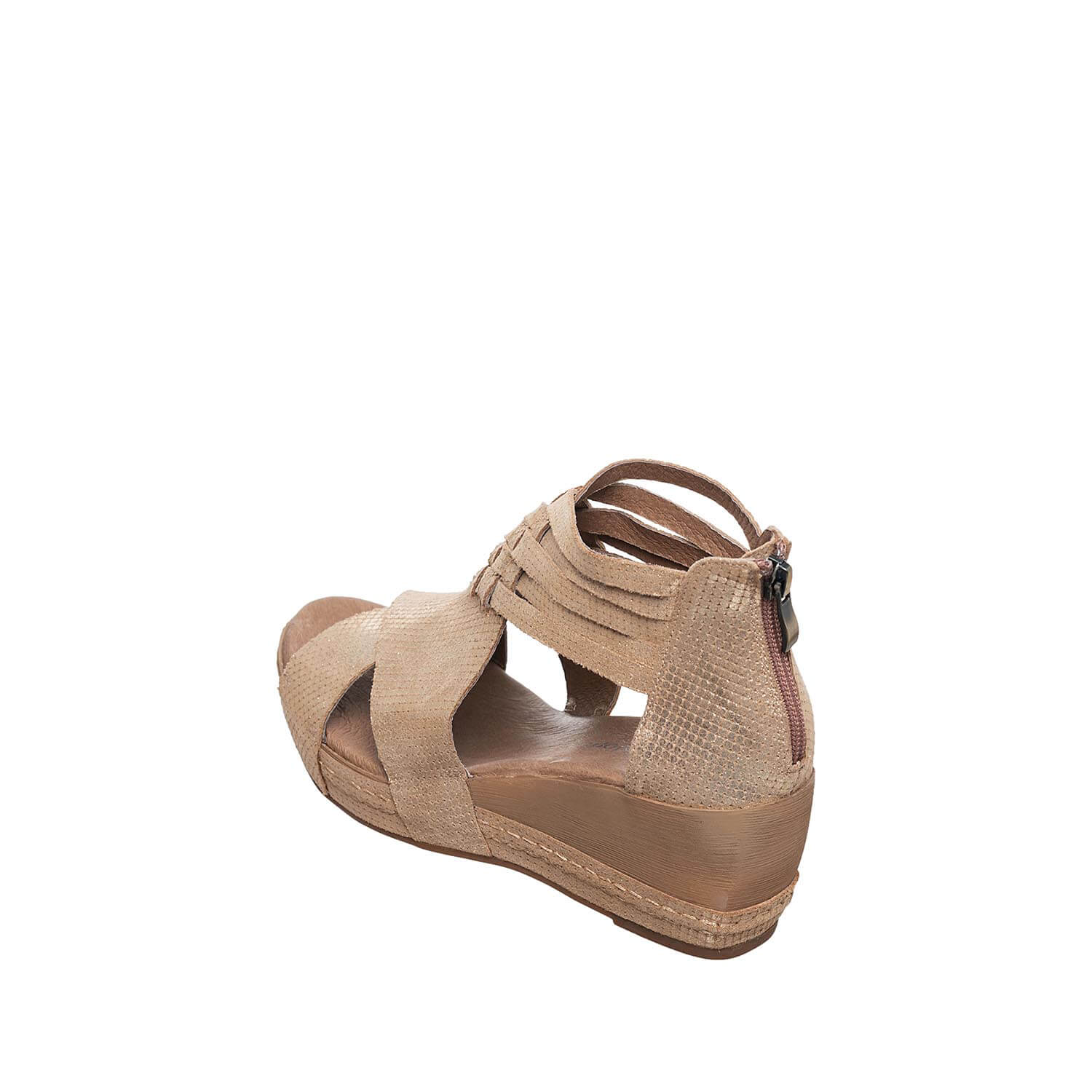D35 Tavi Bronze