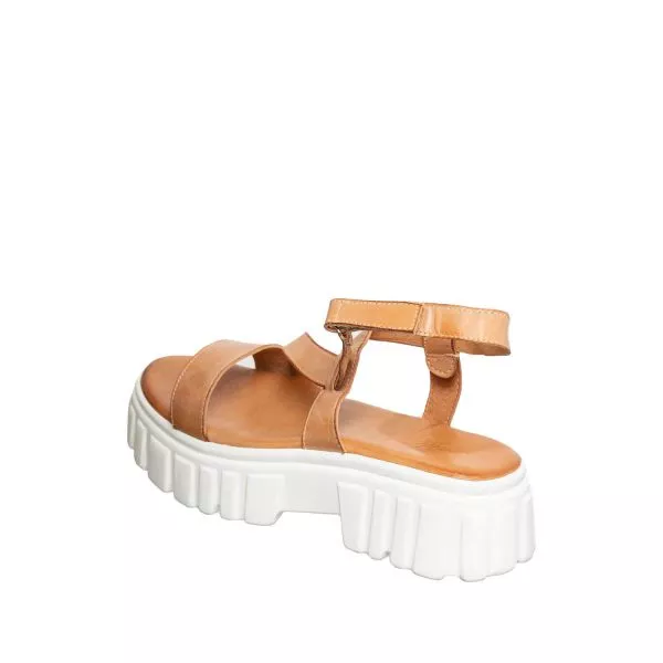 Tan