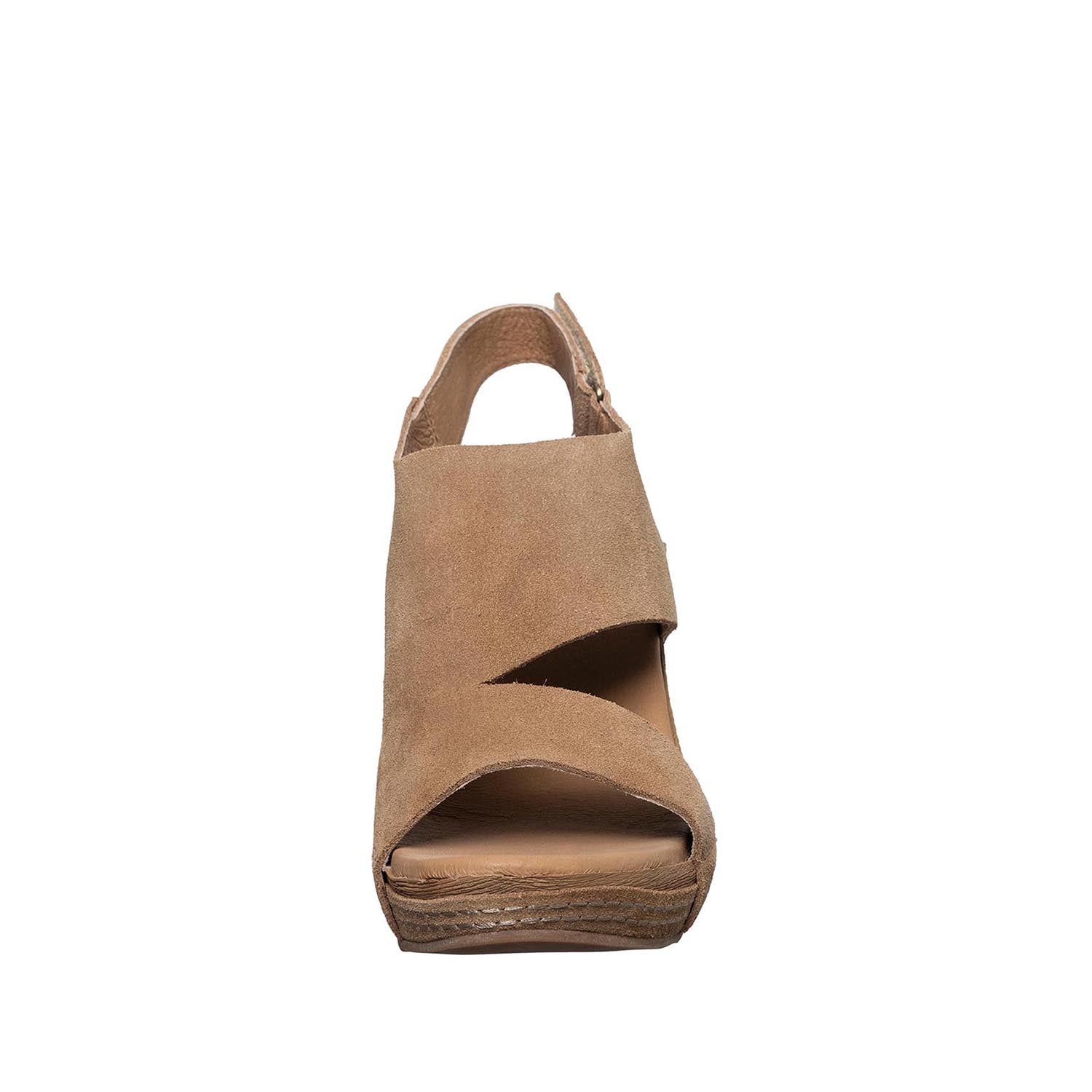 D50 Dotty Taupe