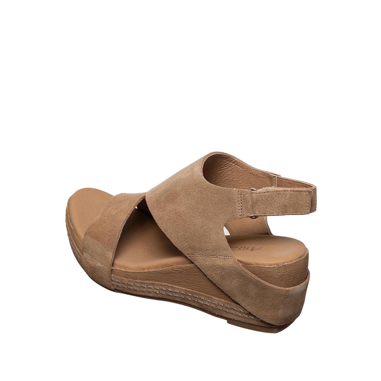 D50 Dotty Taupe